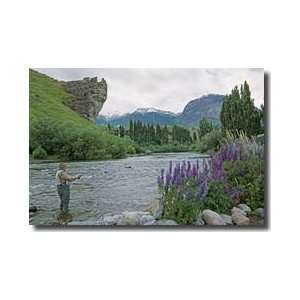  Fishing Guide Casts Patagonia Chile Giclee Print: Home 