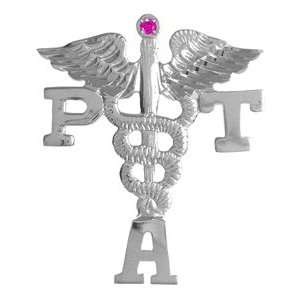 NursingPin   Physical Therapist Assistant PTA Lapel Pin with Ruby in 