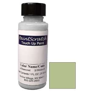   Touch Up Paint for 2005 Infiniti QX56 (color code: J20) and Clearcoat