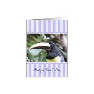 Earth Day   Toucan Card