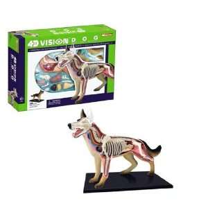 Tedco 4D Vision Dog Anatomy Model: Toys & Games