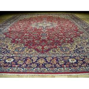   Free Pad Handmade Hand knotted Persian Rug 10x16 G282