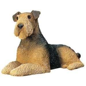  Airedale Terrier   Mid Size: Everything Else