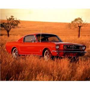  Professionally Framed 1965 Red Ford Mustang Fastback Print 