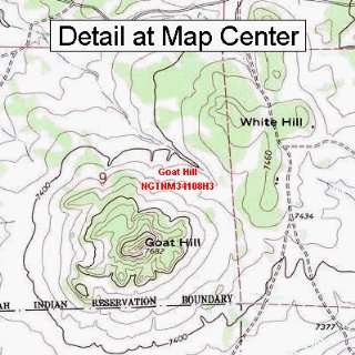  USGS Topographic Quadrangle Map   Goat Hill, New Mexico 