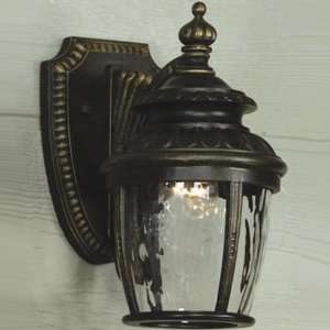  Rosemont Collection 10 1/2 High Outdoor Wall Light: Home 