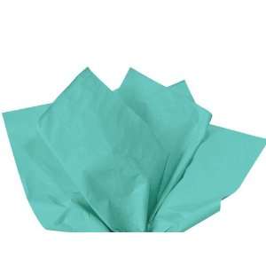   Teal Wrap Tissue Paper 20 X 30   48 Sheets: Health & Personal Care