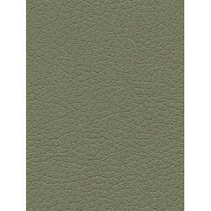  Schumacher Sch 303 4487 Brisa   Sage Fabric Arts, Crafts 