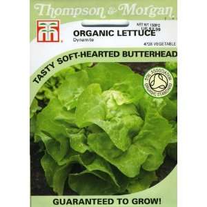  Thompson & Morgan 4728 Organic Lettuce Butterhead Dynamite 