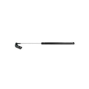  Strong Arm 4833 Hatch Lift Support: Automotive