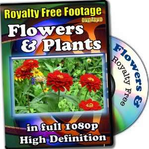   Royalty Free Video Footage High Definition Collection 