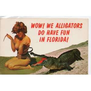  Post Card: Wow! We Alligators Do Have Fun in Florida!, Fun 