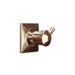  Brizo Shower Valve Trim Vesi T60640 BZ