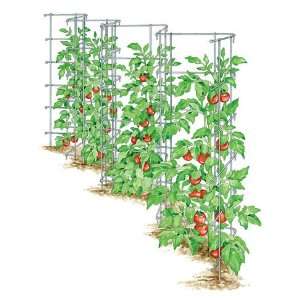  Super Zig Zag Tomato Trellis: Patio, Lawn & Garden