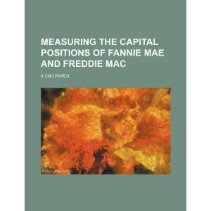  Measuring the capital positions of Fannie Mae and Freddie 