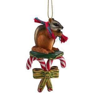  Chipmunk Candy Cane Christmas Ornament: Home & Kitchen