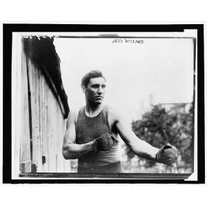 Jess Willard,1881 1968,world heavyweight boxing champion,The Great 