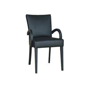  Sunpan Modern Home Chesswood Armchair Black