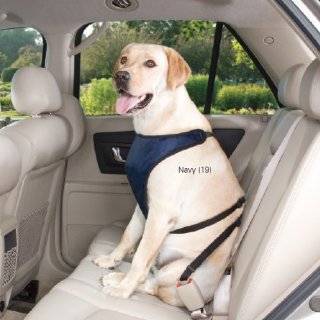 Guardian Gear Polyester Ride Right Dog Car Harness, Large, Navy