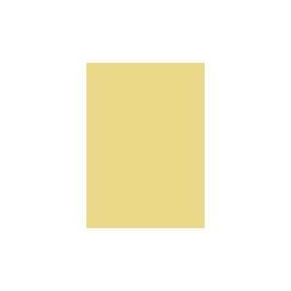   : Dimensions Oversized Color Sample   Warm Welcome: Home Improvement