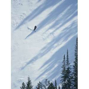 Skier Glides Across a Pine Shadowed Slope at Deer Valley Resort, Utah 