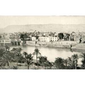 1918 Print Coptic Christian Egypt City Asyut Mountain Nile Lycopolitan 
