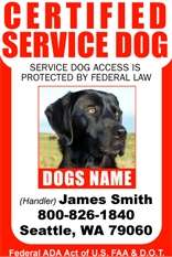   Made ID Badge Card for Working Dog  Certified Service Dog #6  