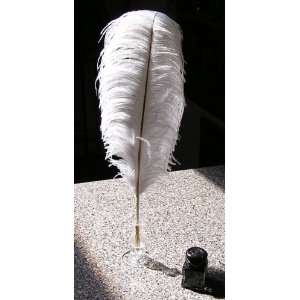  Ostrich Plume Feather Pens with Nib   White (Ink & Stand 