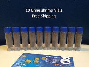 BRINE SHRIMP EGGS 10 2 ML VIALS 90% HATCH RATE  