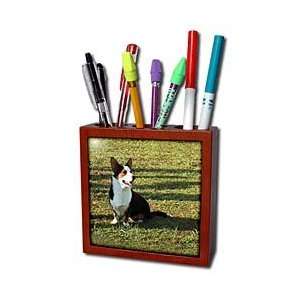Dogs Welsh Cardigan Corgi   Welsh Cardigan Corgi   Tile Pen Holders 5 