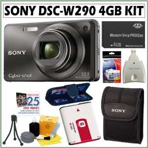  Sony Cyber shot DSC W290/B 12.1 MP Digital Camera in Black 