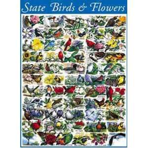 State Birds and Flowers   1000 Piece Puzzle, Features all 50 Official 