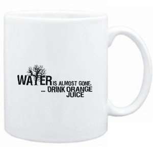  Mug White  Water is almost gone  drink Orange Juice 