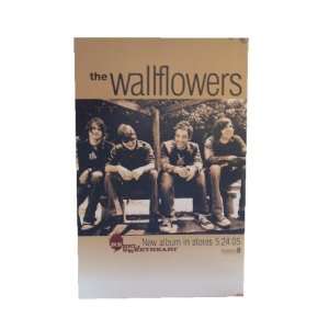  Wallflowers Poster The Wall Flowers Jakob Dylan 