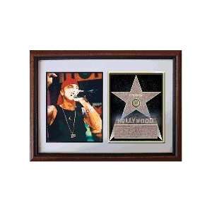  Eminem 8 x 10 Custom Framed Hollywood Stars Photograph 