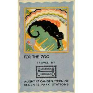   Zoo Lizard Camden Town Regents   Original Mini Poster