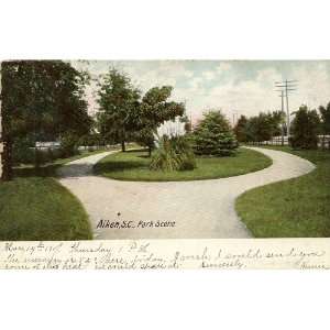   Vintage Postcard Park Scene   Aiken South Carolina 