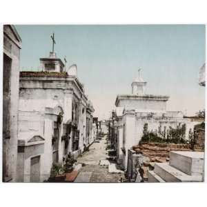 Reprint Old Vaults in St. Louis Cemetery, New Orleans 1901 
