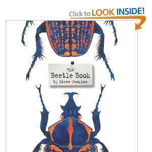  The Beetle Book [Hardcover] Steve Jenkins Books