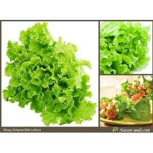   Lettuce 400 Salad Vegetable Gardening Seeds Patio, Lawn & Garden