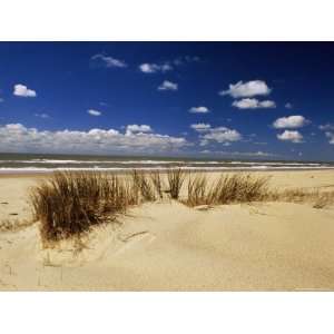  Beach, Cote dArgent, Gironde, Aquitaine, France Premium 