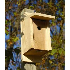  Eastern Bluebird and Swallow Bird House in Solid Cypress 