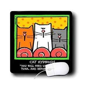  Funny Cat Gifts   Cat Hypnosis, Cartoon Cats, Cats, Cat, Funny cats 