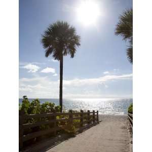  Atlantic Ocean, Miami Beach, Florida, USA Photographic 
