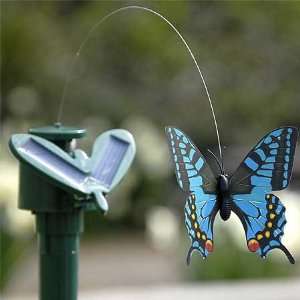   Solar powered butterfly model with movable parts: Toys & Games