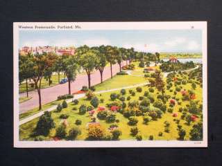 Western Promenade in Portland, Maine Old Vintage Postcard  