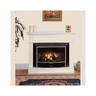  World Marketing GFP2816R The Newport Gas Fireplace in 