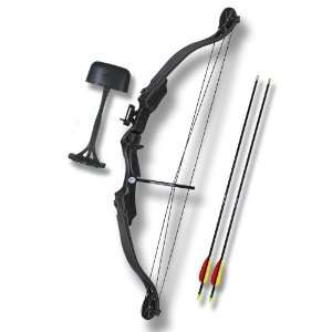 25 Lbs. Nice Black Hunter Archery Compound Bow:  Sports 
