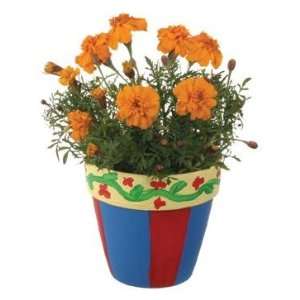  Paint A Pot Craft Garden w Marigold Seeds, Soil, Paint 