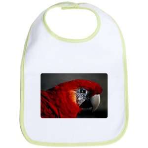  Baby Bib Kiwi Scarlet Macaw   Bird 